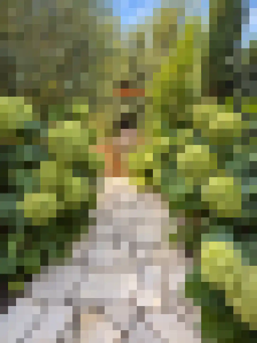 Tuinbouwweg 7 D Waddinxveen thumbnail 9