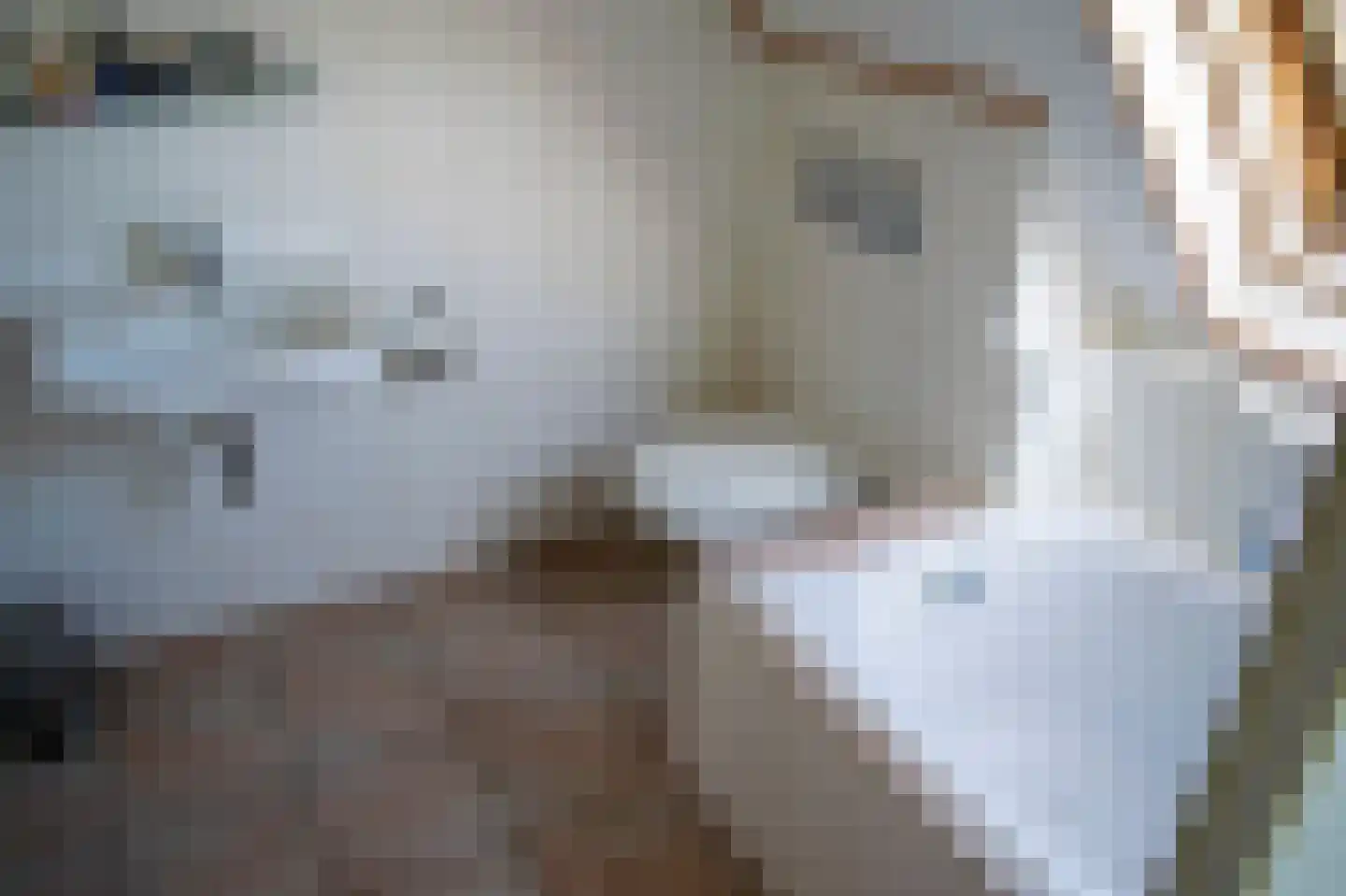 Tuinbouwweg 9 B Uithuizermeeden thumbnail 25