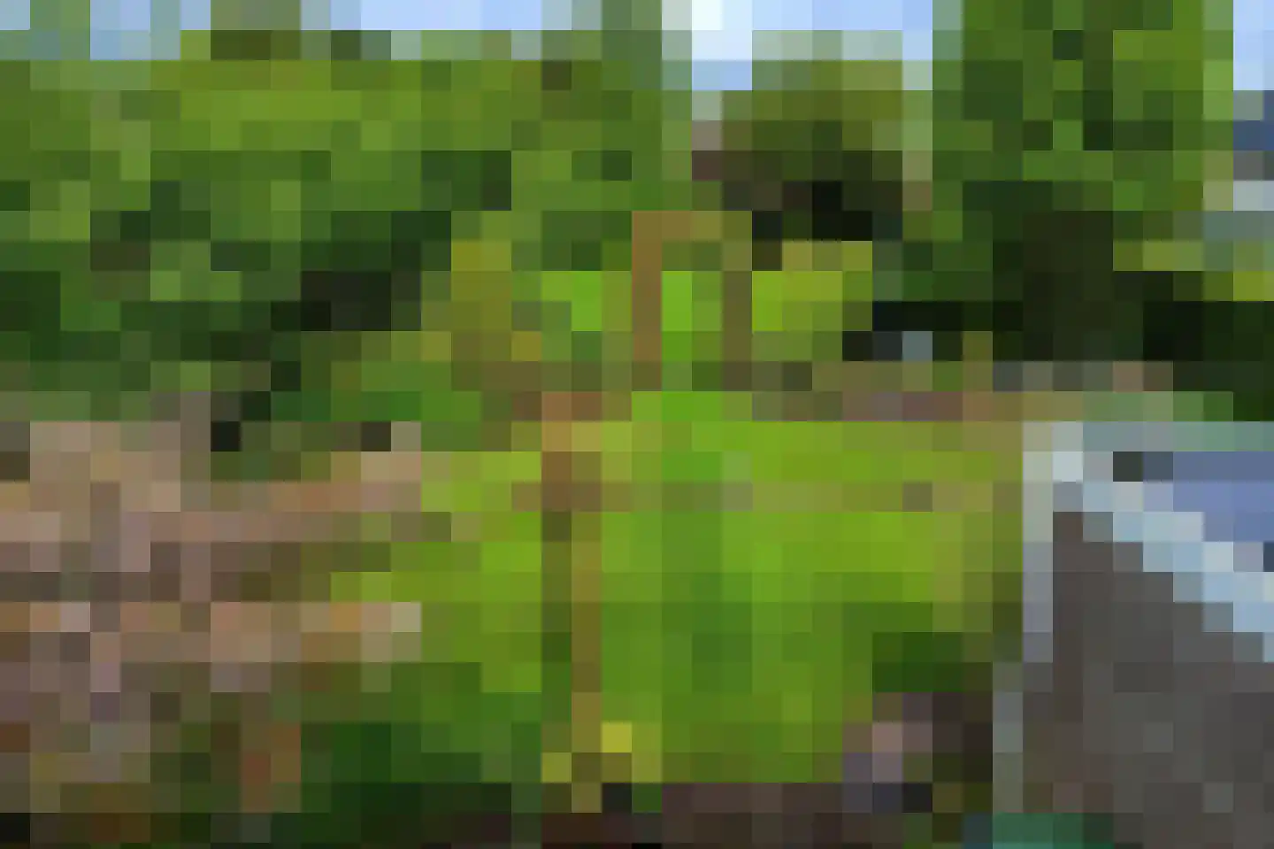 Tuinbouwweg 9 B Uithuizermeeden thumbnail 34