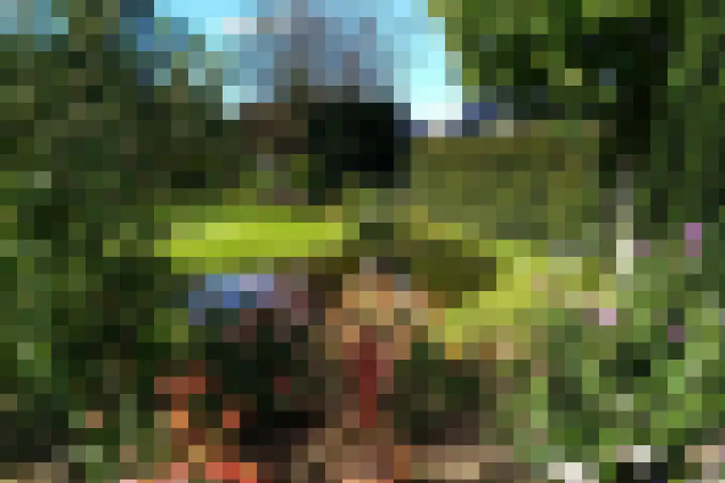 Tuinbouwweg 9 B Uithuizermeeden thumbnail 36