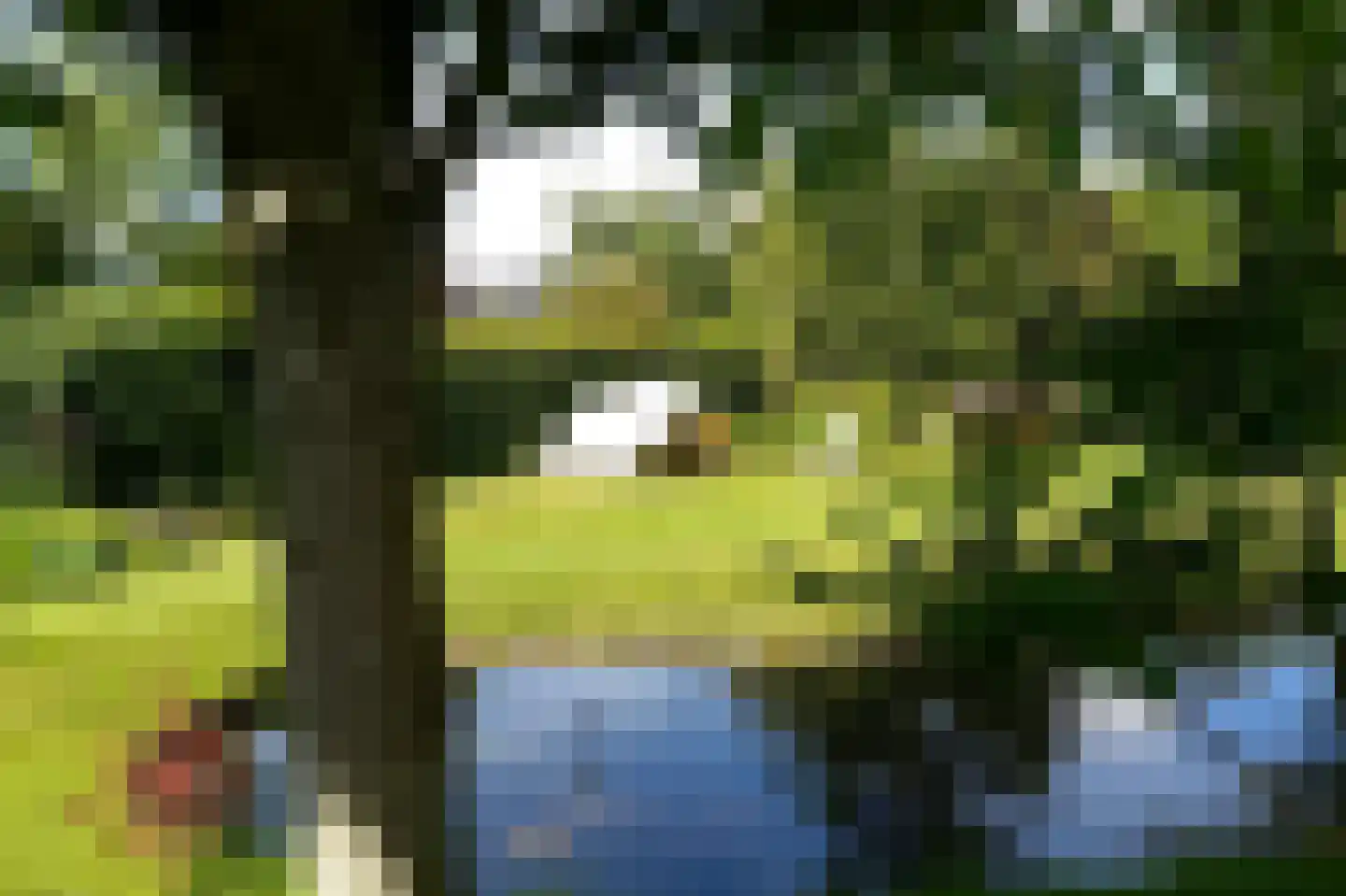 Tuinbouwweg 9 B Uithuizermeeden thumbnail 37