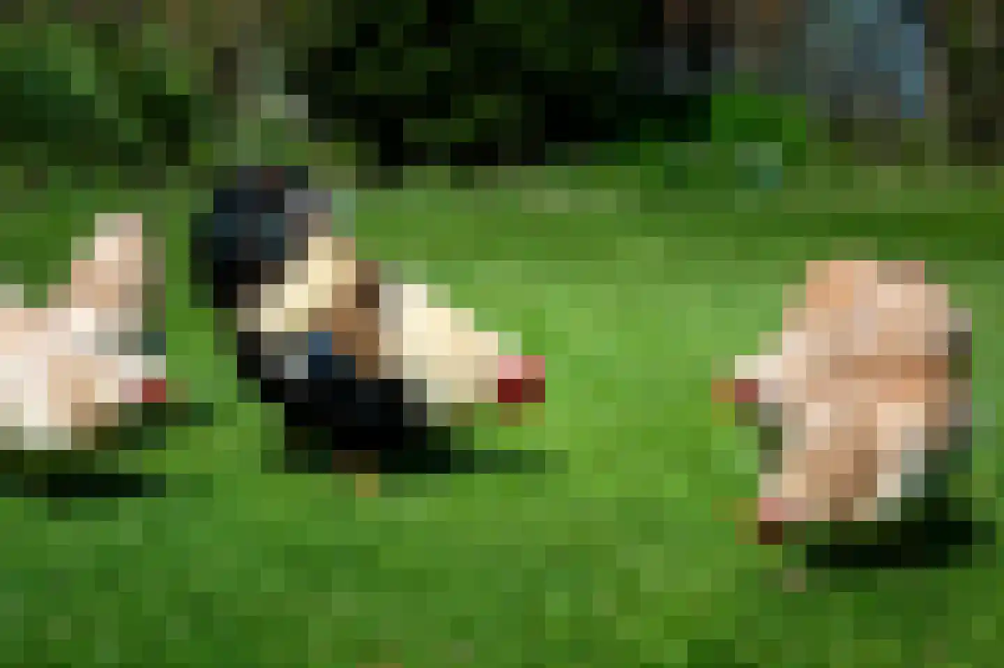 Tuinbouwweg 9 B Uithuizermeeden thumbnail 38