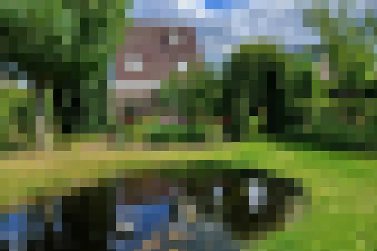 Tuinbouwweg 9 B Uithuizermeeden thumbnail 39