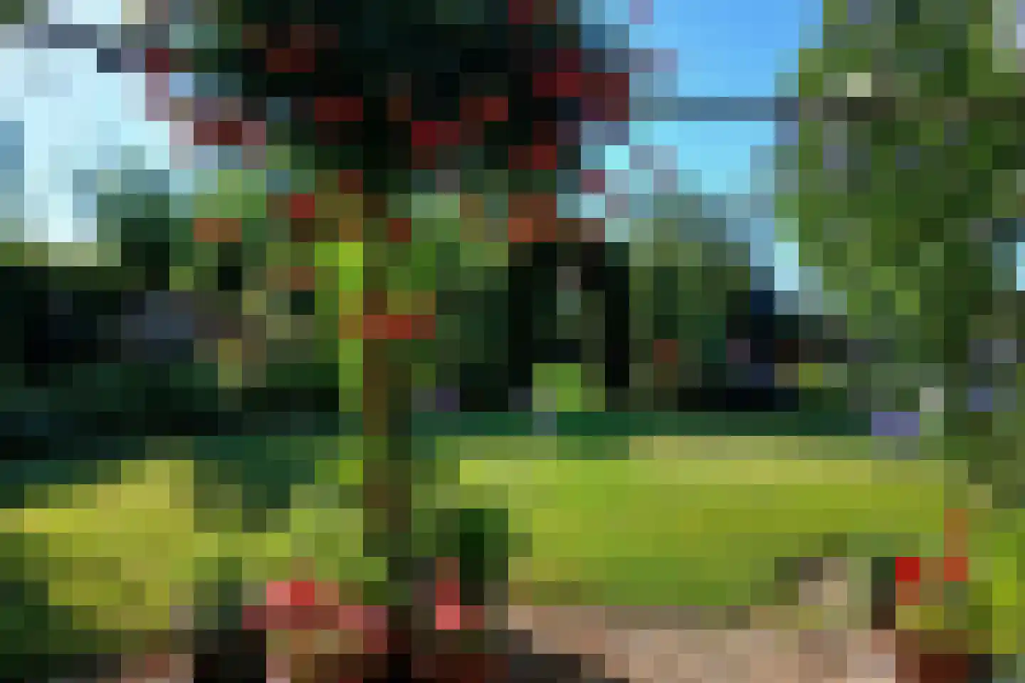 Tuinbouwweg 9 B Uithuizermeeden thumbnail 41
