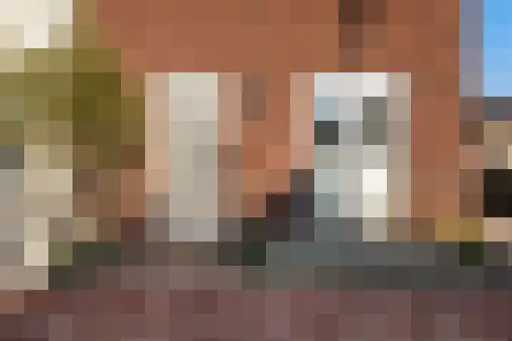 Tuinder 13 Hendrik-Ido-Ambacht thumbnail 10