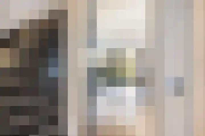 Tuinder 13 Hendrik-Ido-Ambacht thumbnail 11