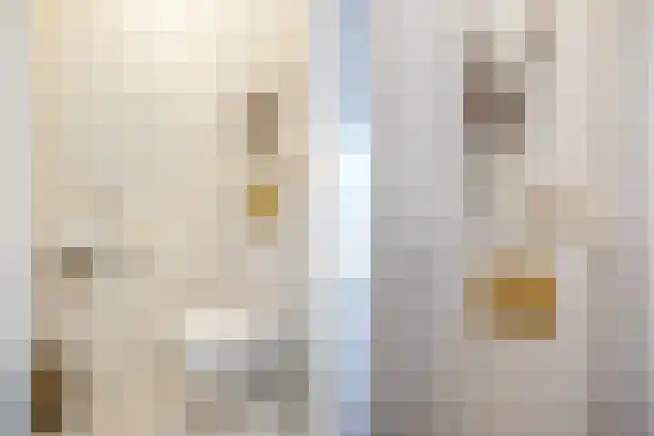 Tuinder 13 Hendrik-Ido-Ambacht thumbnail 12