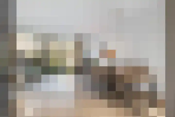 Tuinder 13 Hendrik-Ido-Ambacht thumbnail 13
