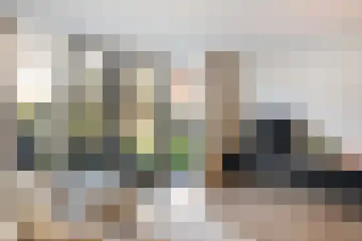 Tuinder 13 Hendrik-Ido-Ambacht thumbnail 15
