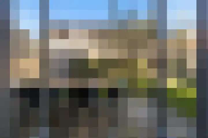 Tuinder 13 Hendrik-Ido-Ambacht thumbnail 16