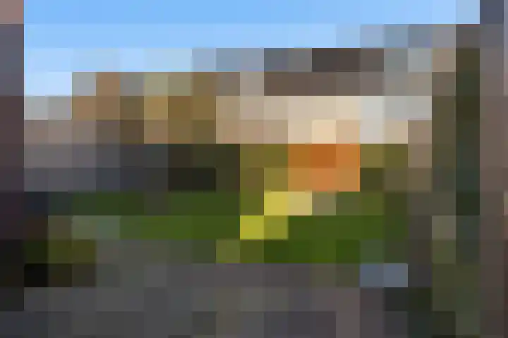 Tuinder 13 Hendrik-Ido-Ambacht thumbnail 17