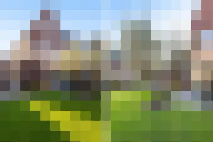 Tuinder 13 Hendrik-Ido-Ambacht thumbnail 18