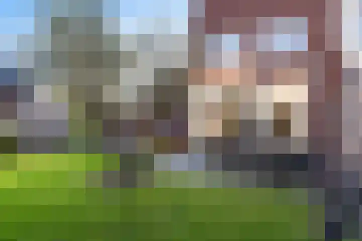 Tuinder 13 Hendrik-Ido-Ambacht thumbnail 19