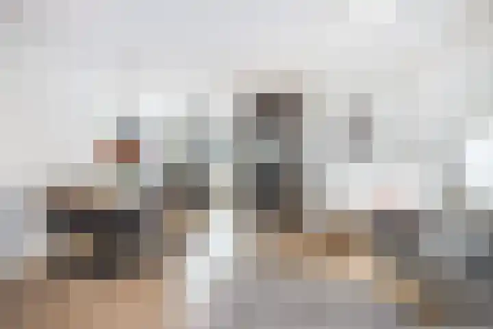 Tuinder 13 Hendrik-Ido-Ambacht thumbnail 20
