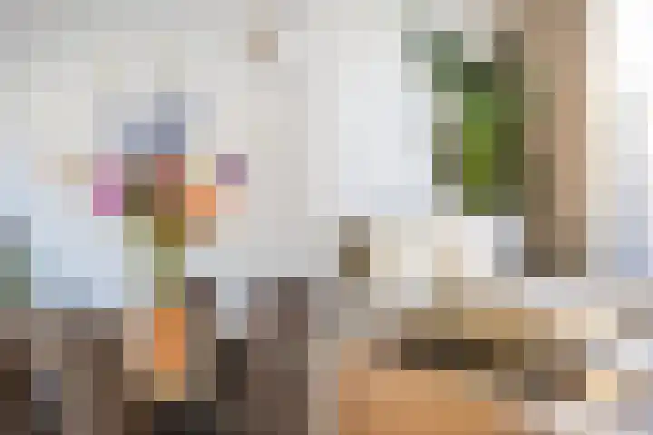 Tuinder 13 Hendrik-Ido-Ambacht thumbnail 21
