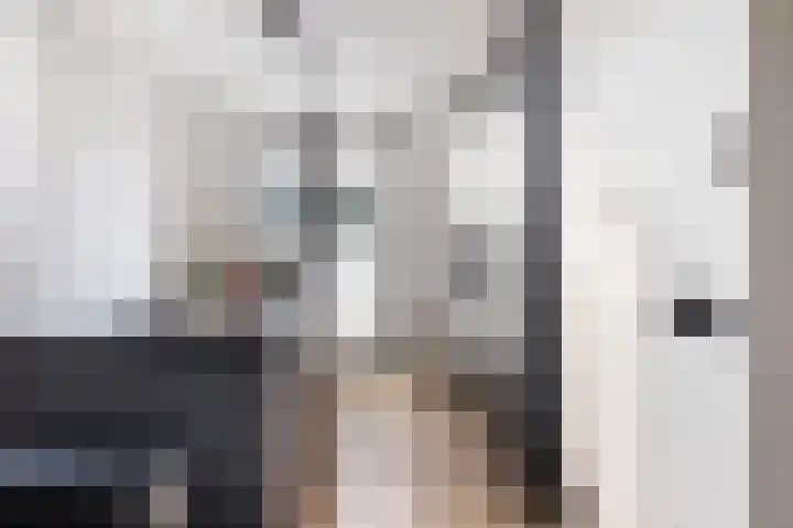 Tuinder 13 Hendrik-Ido-Ambacht thumbnail 22