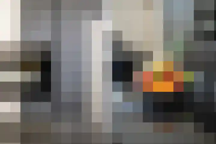 Tuinder 13 Hendrik-Ido-Ambacht thumbnail 23