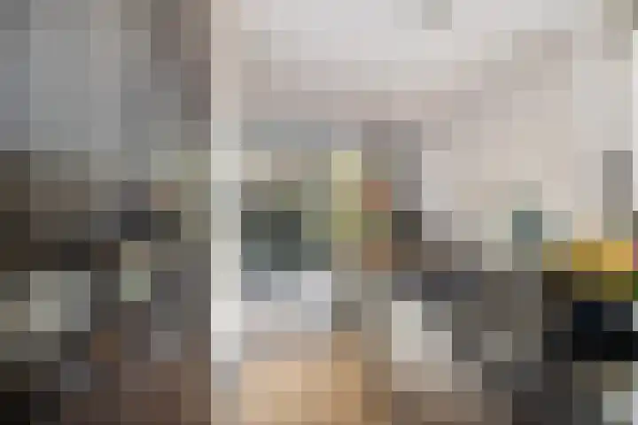 Tuinder 13 Hendrik-Ido-Ambacht thumbnail 24