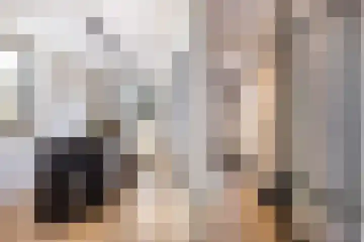 Tuinder 13 Hendrik-Ido-Ambacht thumbnail 25