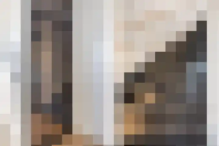 Tuinder 13 Hendrik-Ido-Ambacht thumbnail 26