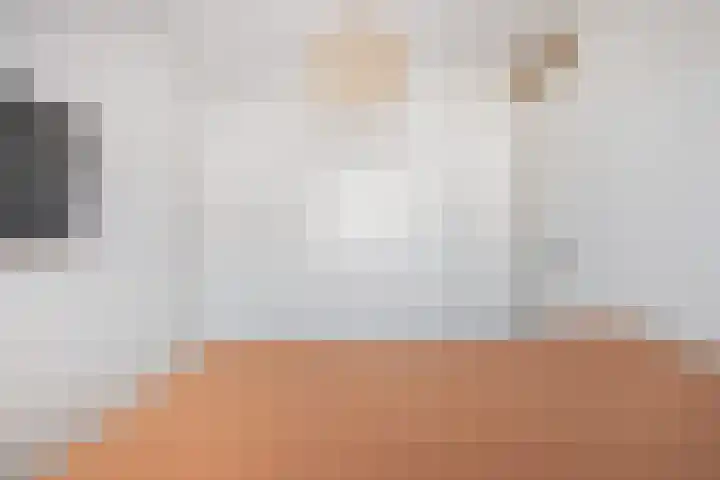 Tuinder 13 Hendrik-Ido-Ambacht thumbnail 30