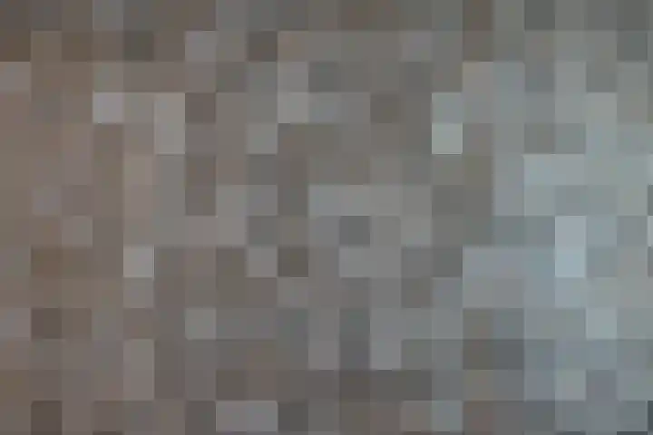 Tuinder 13 Hendrik-Ido-Ambacht thumbnail 32