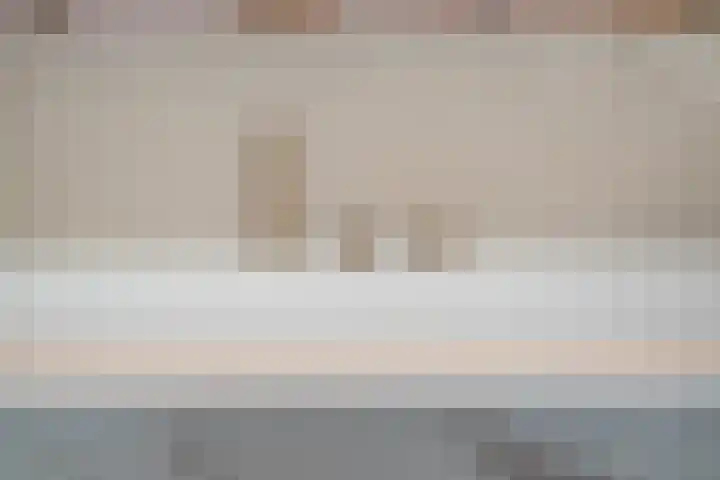 Tuinder 13 Hendrik-Ido-Ambacht thumbnail 33