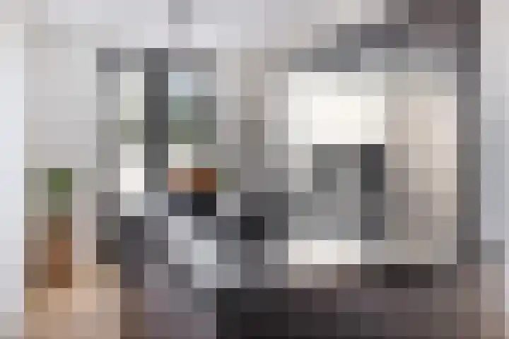 Tuinder 13 Hendrik-Ido-Ambacht thumbnail 4