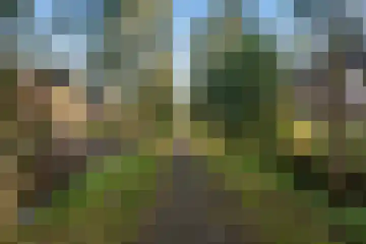 Tuinder 13 Hendrik-Ido-Ambacht thumbnail 41