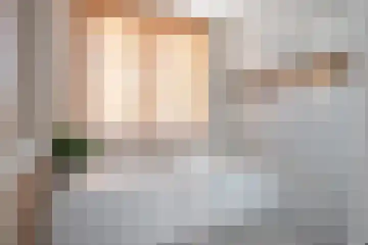 Tuinder 13 Hendrik-Ido-Ambacht thumbnail 5