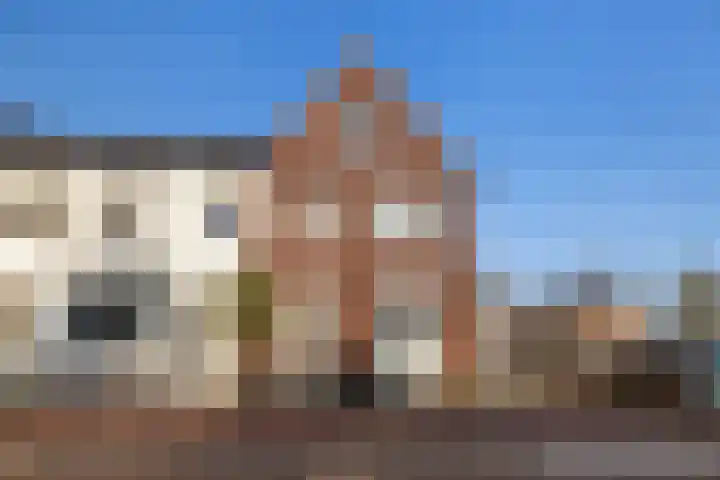 Tuinder 13 Hendrik-Ido-Ambacht thumbnail 8