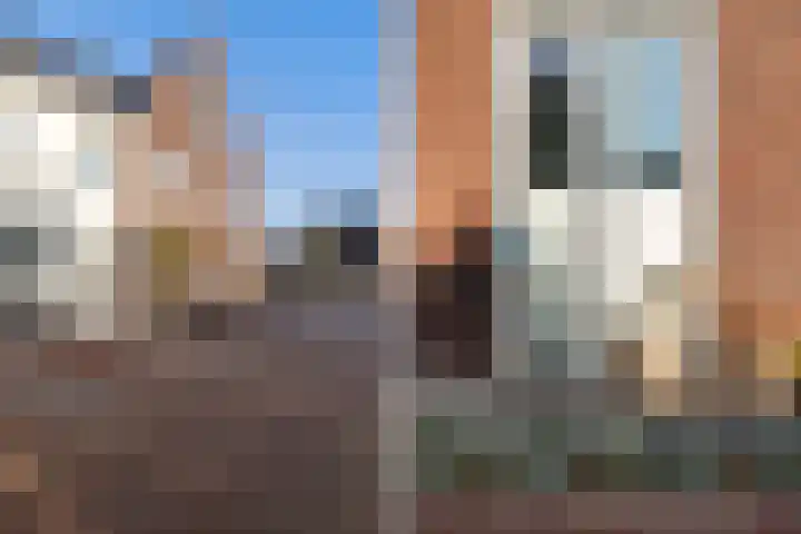 Tuinder 13 Hendrik-Ido-Ambacht thumbnail 9