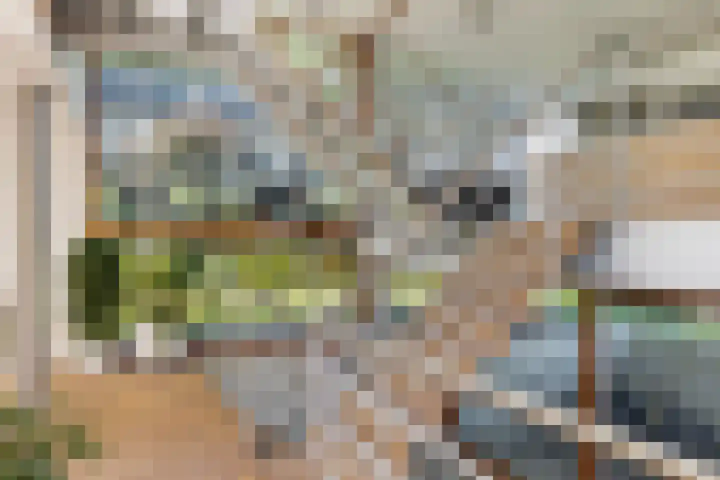 Tuinderij 11 Harmelen thumbnail 24
