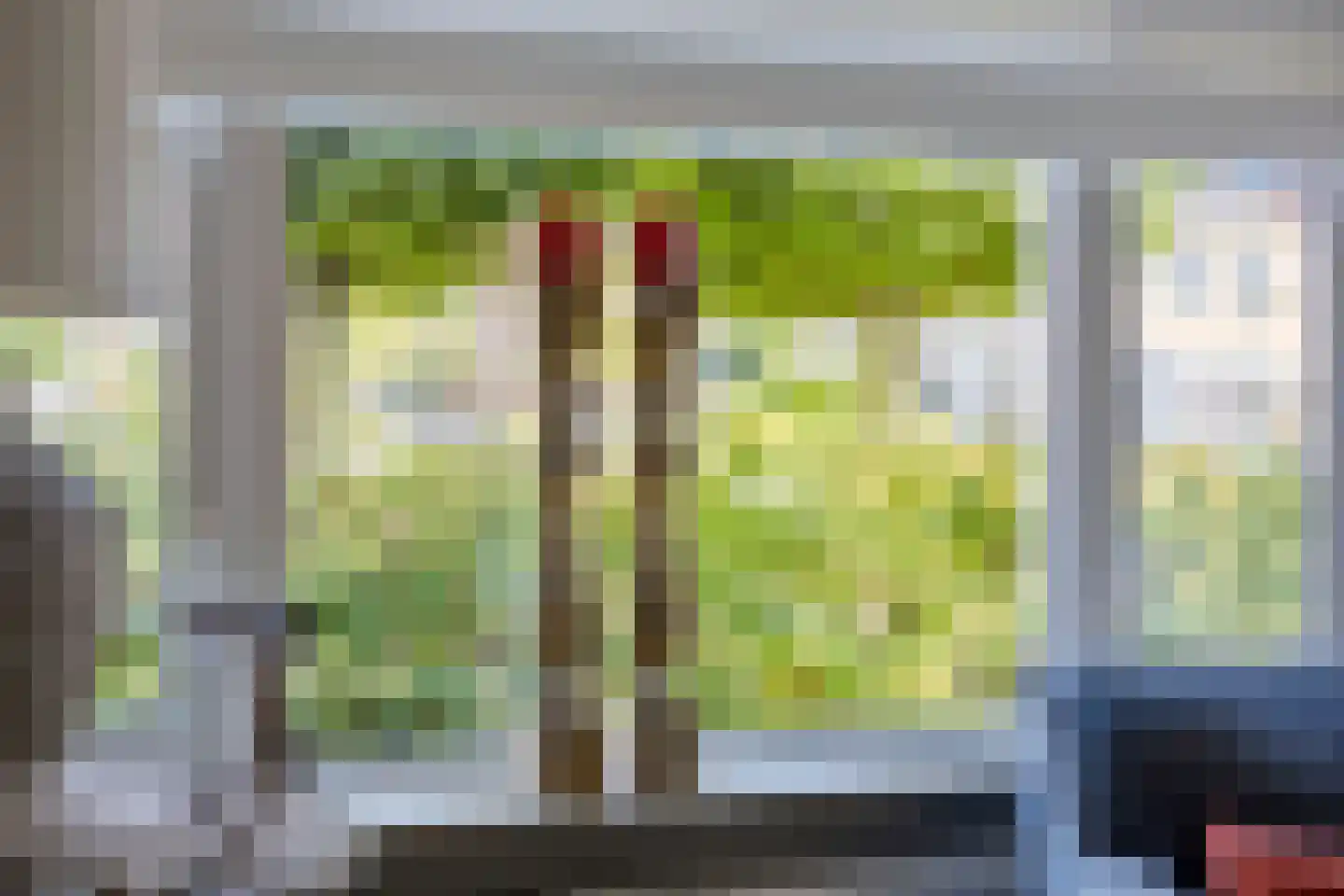 Tuinderij 22 IJsselmuiden thumbnail 15