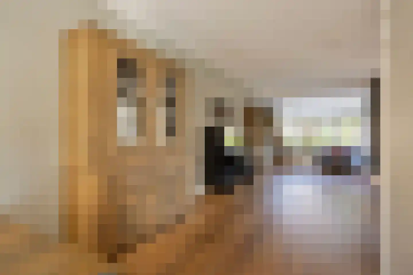Tuinderij 22 IJsselmuiden thumbnail 18