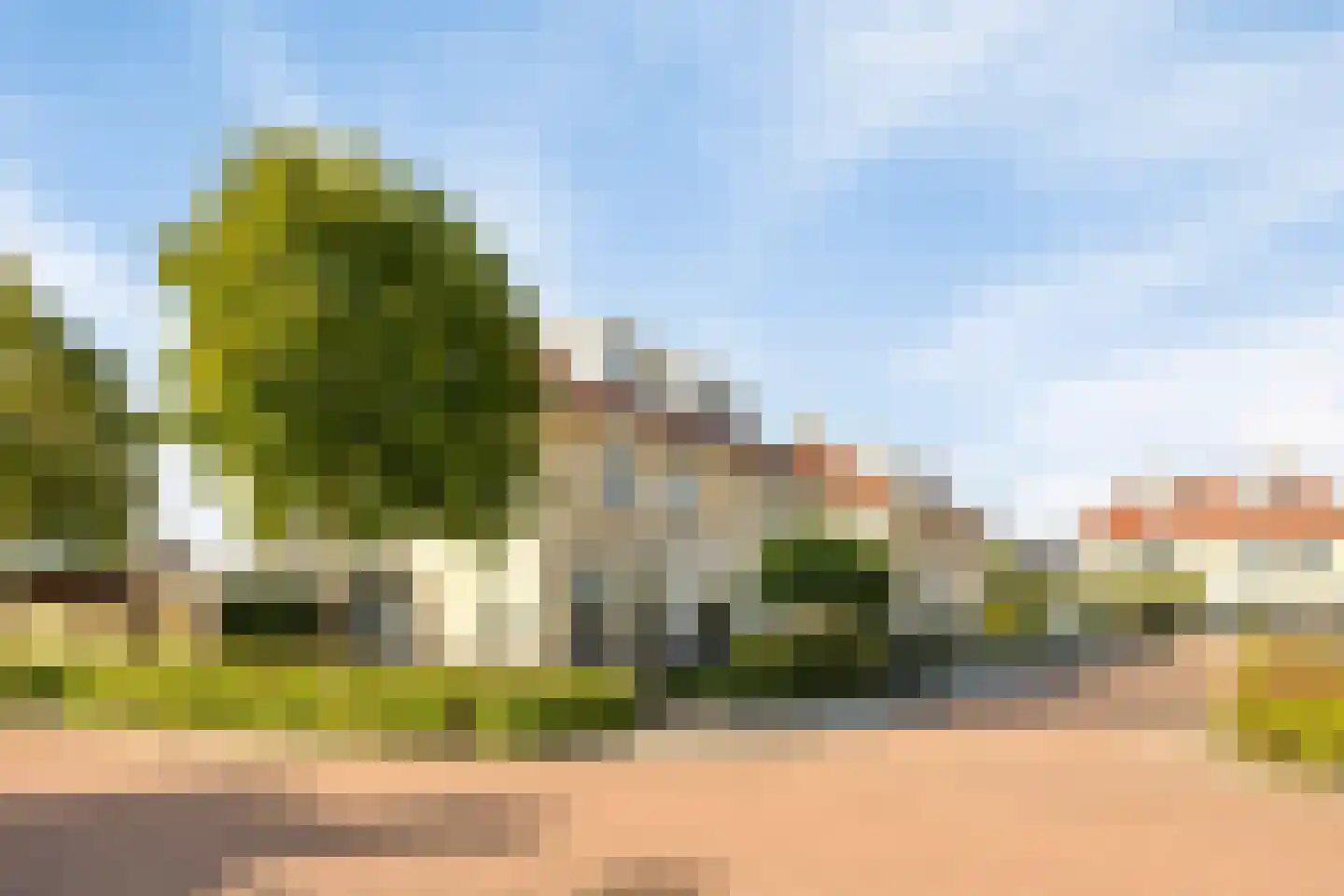Tuinderij 22 IJsselmuiden thumbnail 50