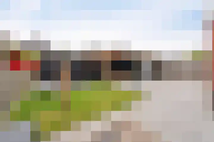 Tuinderij 62 IJsselmuiden thumbnail 27