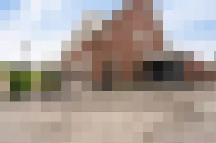 Tuinderij 62 IJsselmuiden thumbnail 6