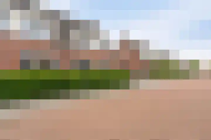 Tuinderij 62 IJsselmuiden thumbnail 60