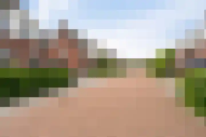Tuinderij 62 IJsselmuiden thumbnail 61
