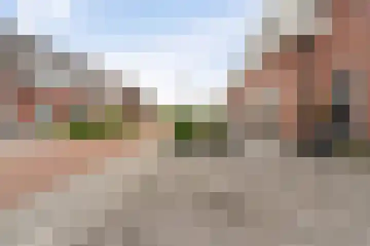Tuinderij 62 IJsselmuiden thumbnail 7