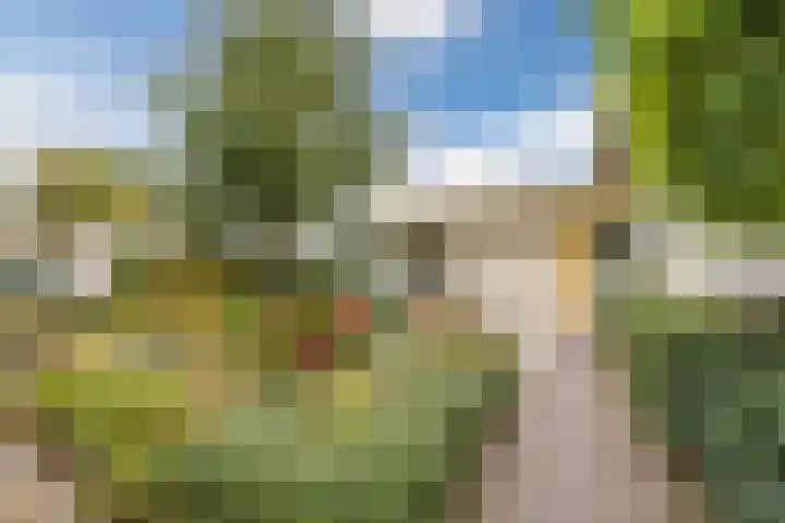 Tuindersdreef 12 Bergen op Zoom thumbnail 11