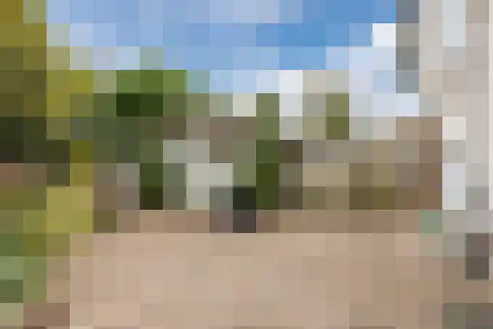 Tuindersdreef 12 Bergen op Zoom thumbnail 48
