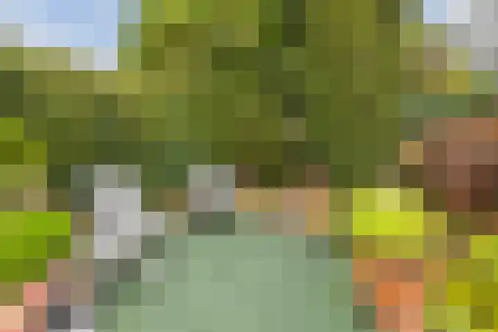 Tuindersdreef 12 Bergen op Zoom thumbnail 50