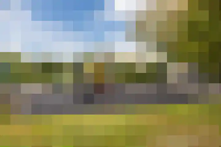 Tuindersdreef 12 Bergen op Zoom thumbnail 57