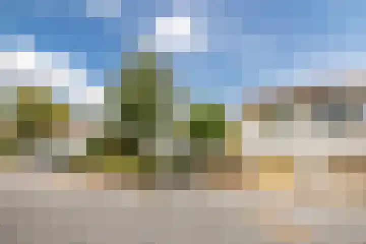 Tuindersdreef 12 Bergen op Zoom thumbnail 7