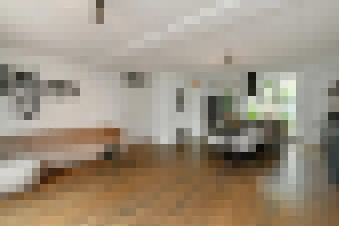 Tuinderserf 5 Arnhem thumbnail 12