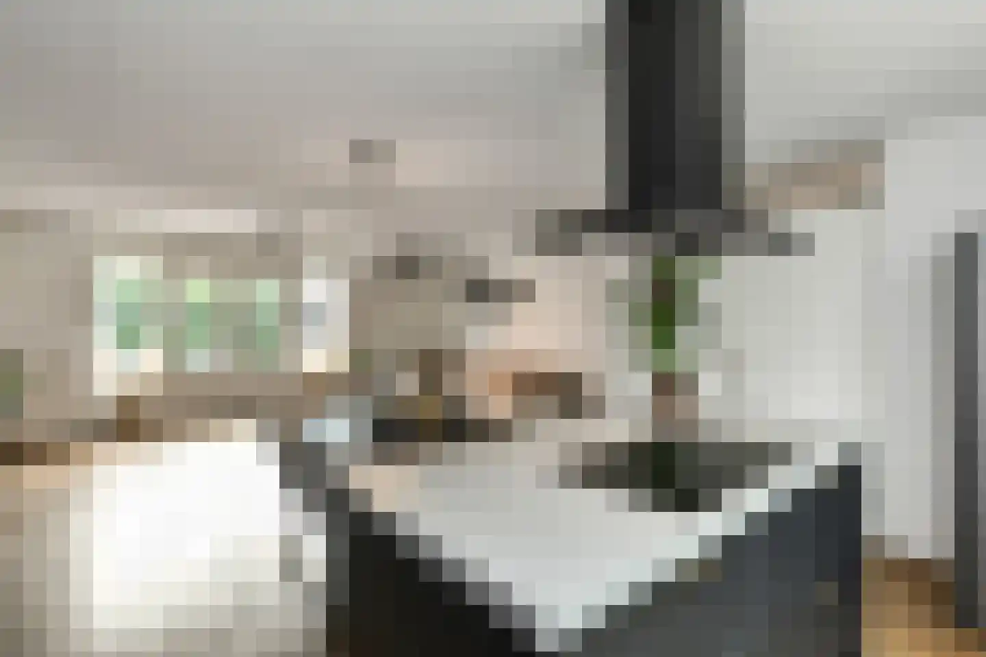 Tuinderserf 5 Arnhem thumbnail 18