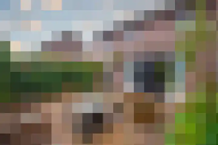 Tuinderserf 5 Arnhem thumbnail 22
