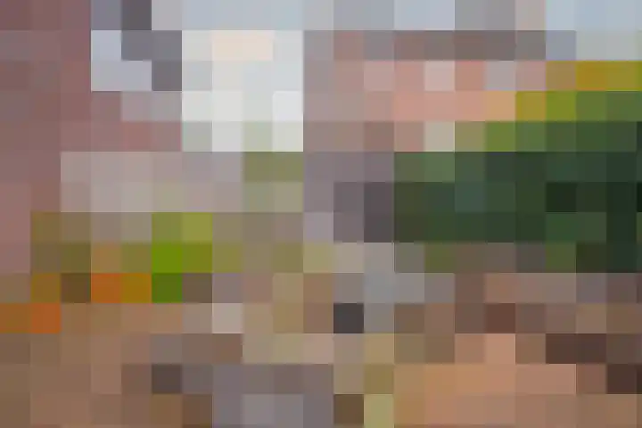 Tuinderserf 5 Arnhem thumbnail 23